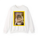 Front (5)