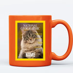 kittenfy-color-mug-orange