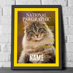 kittenfy-framed-poster