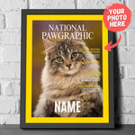 kittenfy-framed-poster