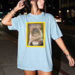 kittenfy-signature-tee-street-model-6