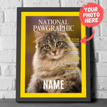 kittenfy-framed-poster